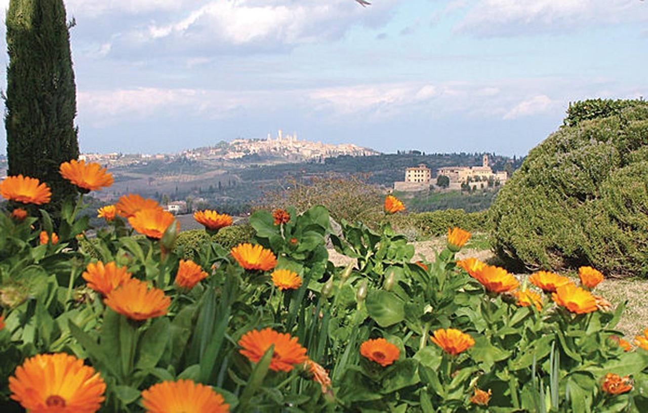 Agriturismo Fattoria Il Piano - Appartamento Stalla - San Gimignano Kültér fotó