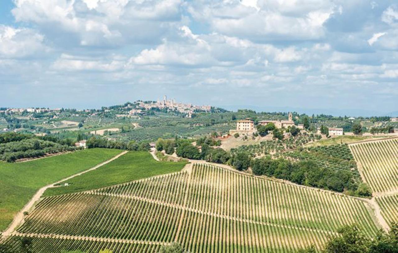Agriturismo Fattoria Il Piano - Appartamento Stalla - San Gimignano Kültér fotó